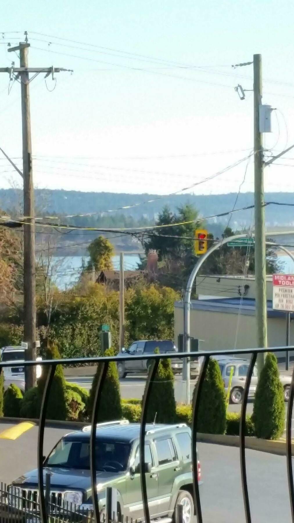 Port-O-Call Inn Nanaimo Ngoại thất bức ảnh